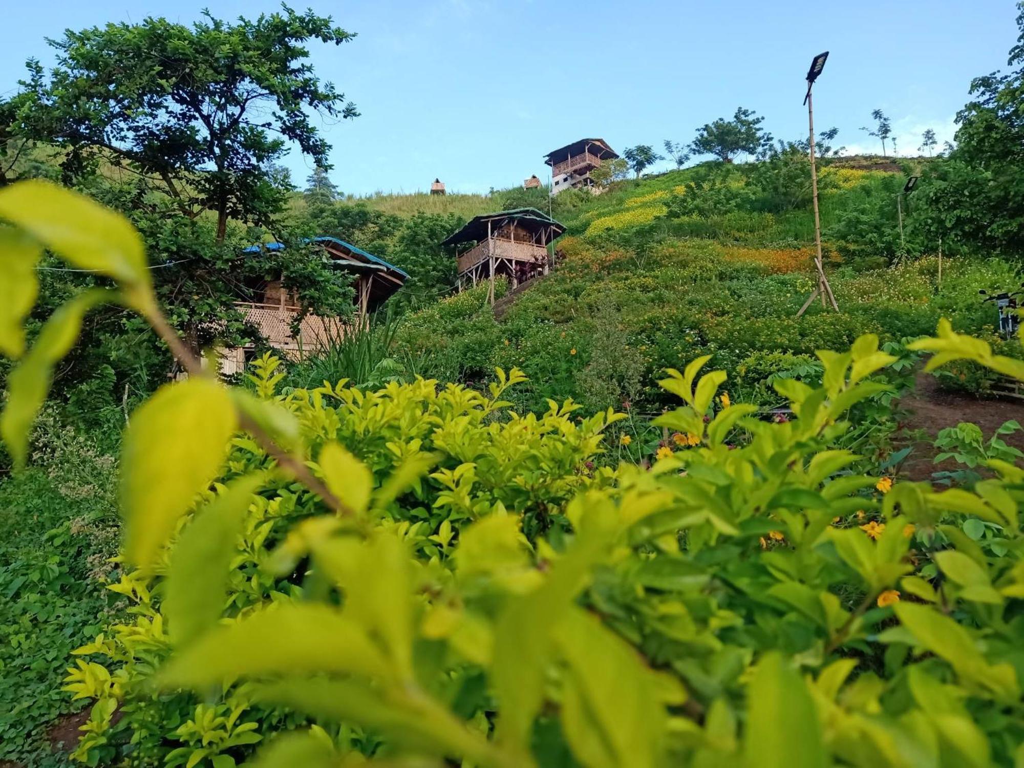 Mira Agropark Otel Tanay Dış mekan fotoğraf